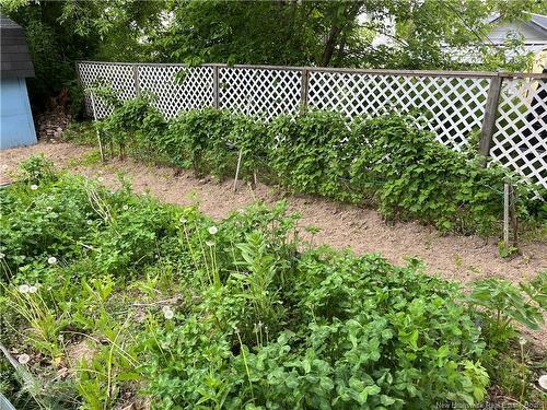 9 Churchill St, Hartland, NB 