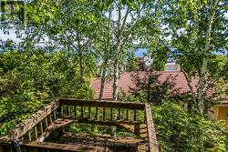 viewing platform - 