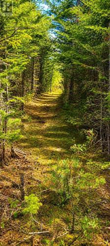 12-18 Mud Lane, Port Au Bras, NL 