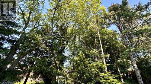 63 Lee Avenue, Simcoe, ON 