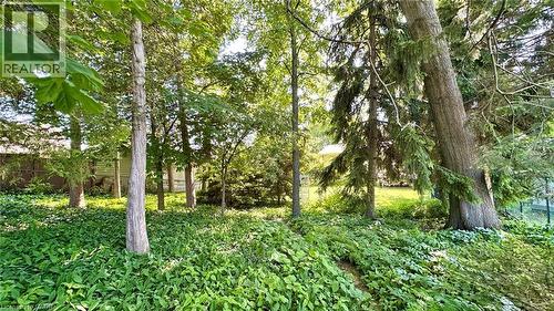 63 Lee Avenue, Simcoe, ON 