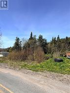 00 Main Road  Clifton, NL A0C 1G0