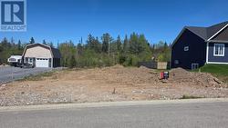39 Pike Street  Pasadena, NL A0L 1K0
