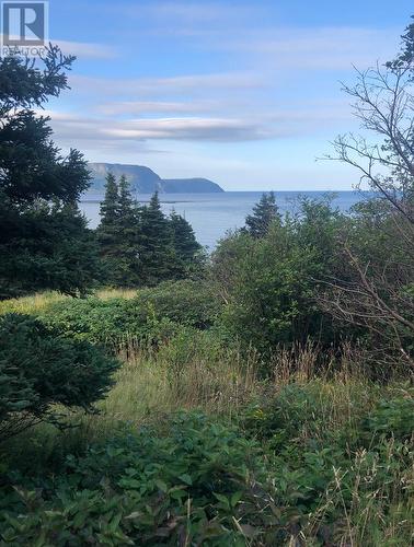 158A Main Street N, Rocky Harbour, NL 