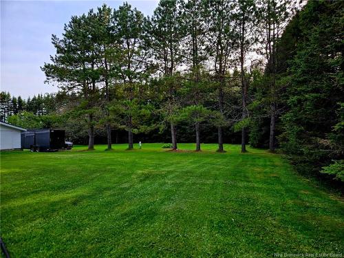 5870 Route 17, Saint-Quentin, NB 