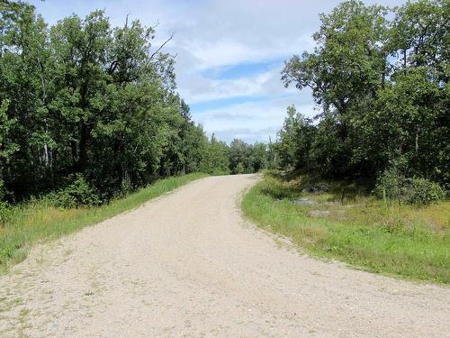 222 Morrison Rd, Morson, ON 