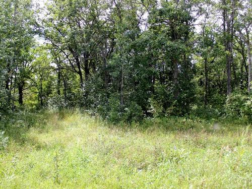 222 Morrison Rd, Morson, ON 