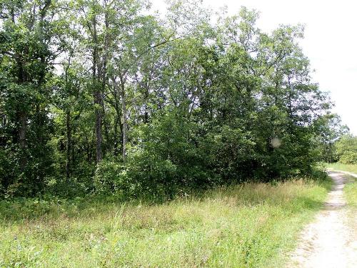 222 Morrison Rd, Morson, ON 