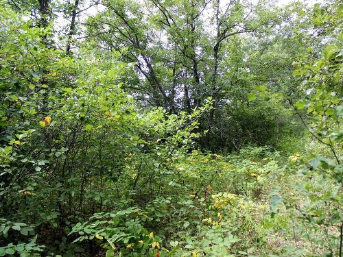 222 Morrison Rd, Morson, ON 