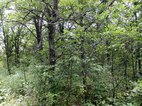 222 Morrison Rd, Morson, ON 