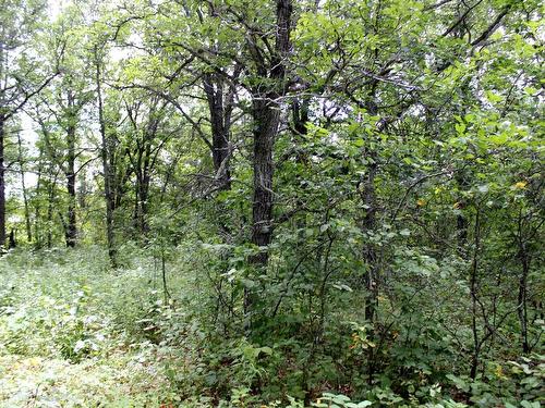 222 Morrison Rd, Morson, ON 