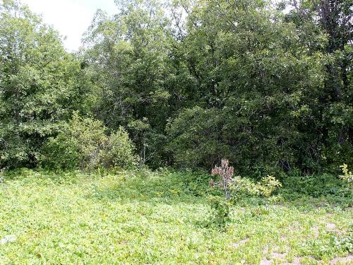 222 Morrison Rd, Morson, ON 