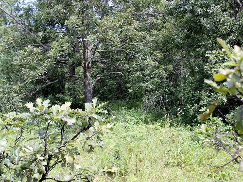 222 Morrison Rd, Morson, ON 