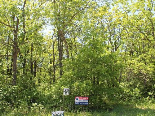 222 Morrison Rd, Morson, ON 