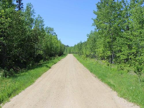 222 Morrison Rd, Morson, ON 