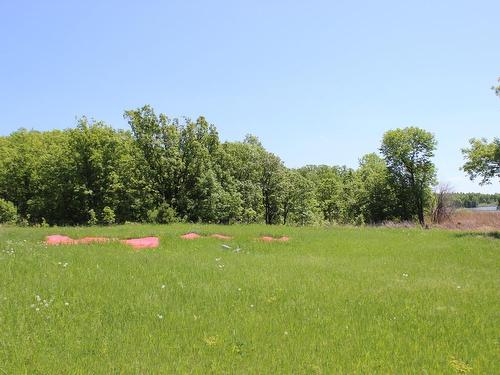 222 Morrison Rd, Morson, ON 