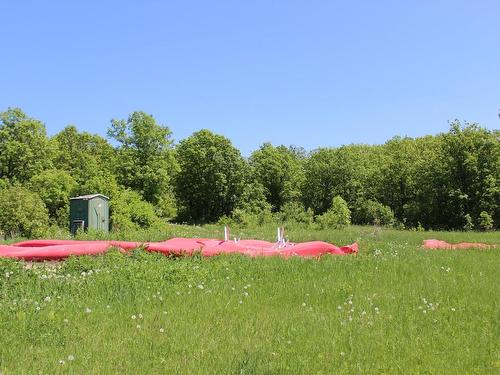 222 Morrison Rd, Morson, ON 