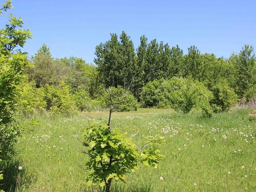 222 Morrison Rd, Morson, ON 