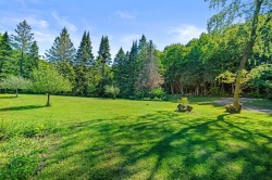 Lot - 
