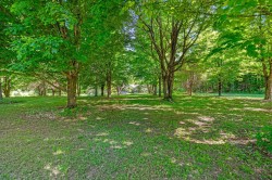 Lot - 