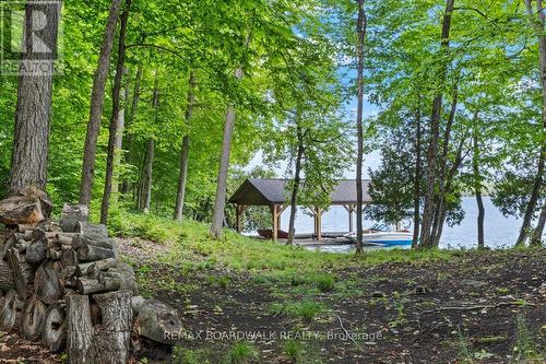 6296 Big Island, Rideau Lakes, ON 