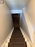 Staircase with a patterned runner and white risers, framed by light-toned walls and wood-finish flooring at the base - 113 Cornerbrook Crescent Unit# 2, Waterloo, ON 