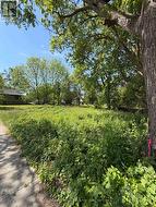 32 BRAMLEY STREET N Port Hope, ON L1A 3K9