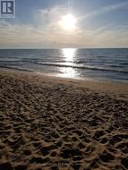Nearest (Bruce Beach) a short walk From property. - 
