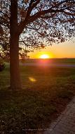 Sunrise (looking East) - 