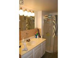 Lower Suite bathroom photo from 2021 - 