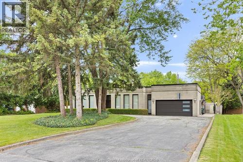 3521 OUELLETTE  Windsor, ON N9E 3M3