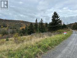 Lots 0-3 Neddies Harbour Road Norris Point, NL A0K 3V0
