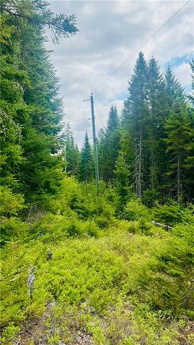 0 North Branch Rd, Juniper, NB 