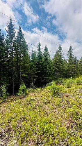 0 North Branch Rd, Juniper, NB 