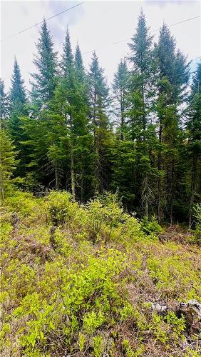 0 North Branch Rd, Juniper, NB 