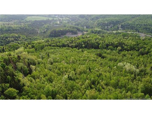0 Knowlesville Rd, Knowlesville, NB 