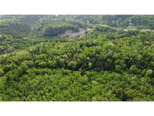 0 Knowlesville Rd, Knowlesville, NB 