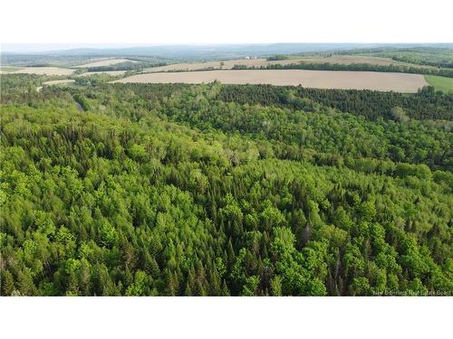 0 Knowlesville Rd, Knowlesville, NB 