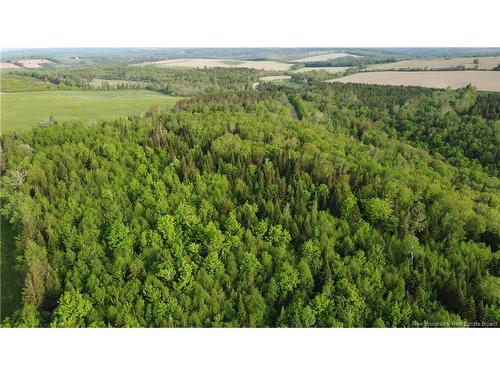 0 Knowlesville Rd, Knowlesville, NB 