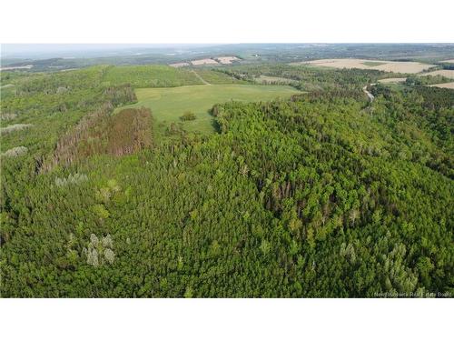 0 Knowlesville Rd, Knowlesville, NB 