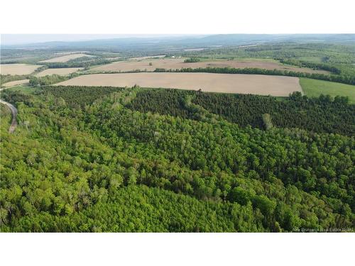 0 Knowlesville Rd, Knowlesville, NB 