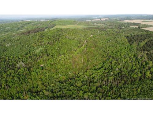 0 Knowlesville Rd, Knowlesville, NB 