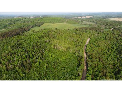 0 Knowlesville Rd, Knowlesville, NB 