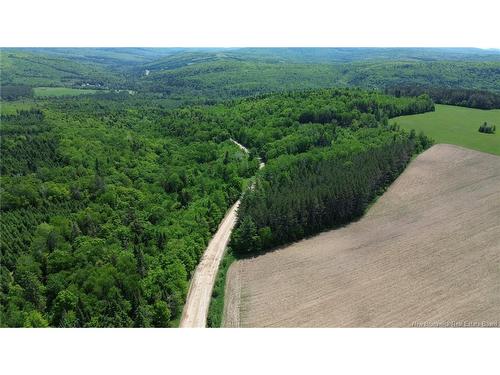 0 Knowlesville Rd, Knowlesville, NB 