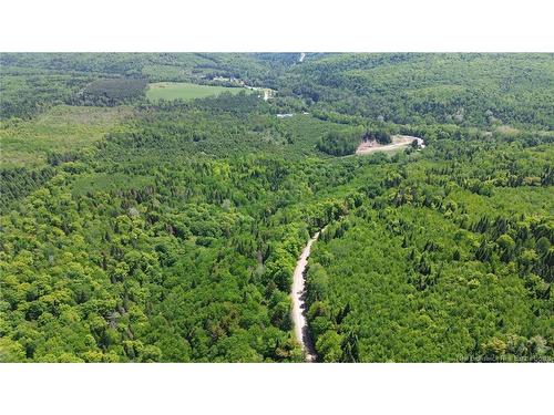 0 Knowlesville Rd, Knowlesville, NB 