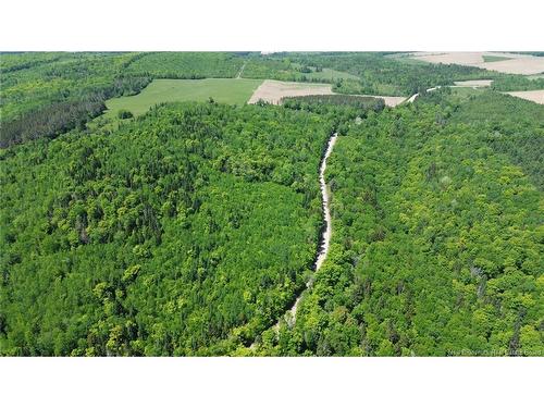 0 Knowlesville Rd, Knowlesville, NB 