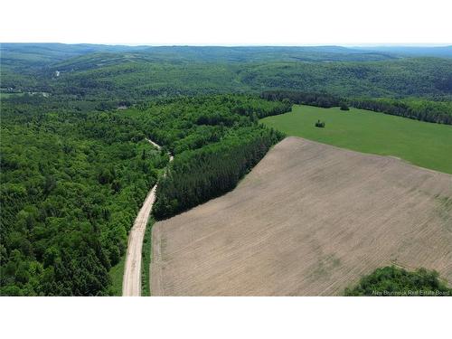 0 Knowlesville Rd, Knowlesville, NB 
