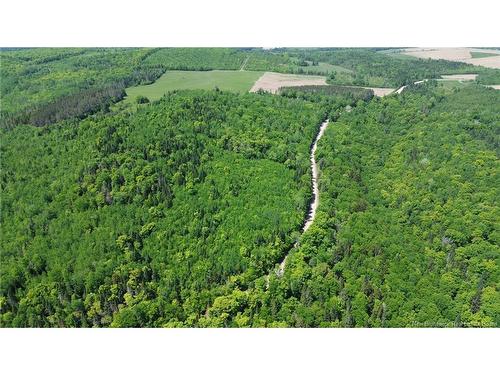 0 Knowlesville Rd, Knowlesville, NB 