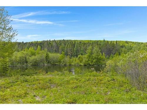 409 Damascus Rd, Hampton, NB 