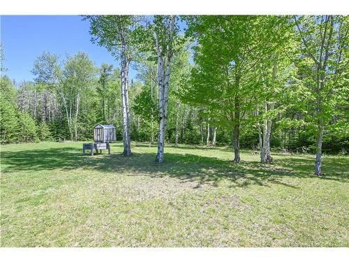 374 Du Bicentenaire St, Bertrand, NB 